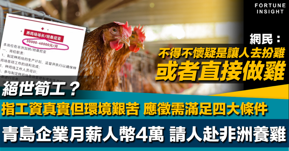 絕世筍工？｜青島企業月薪人幣4萬請人赴非洲養雞 指工資真實但艱苦 網民：不禁懷疑是讓人直接做雞