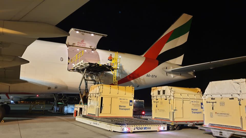 In the past 12 months, Emirates SkyCargo says it has transported over 2,500 horses across its freighter network. - Emirates