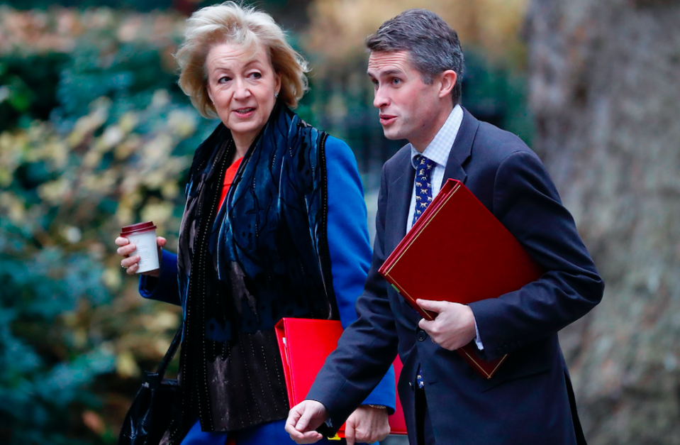 <em>Cabinet members Andrea Leadsom and Gavin Williamson met on Wednesday with other MPs to try and stop Mrs May from seeking a soft Brexit (Getty)</em>