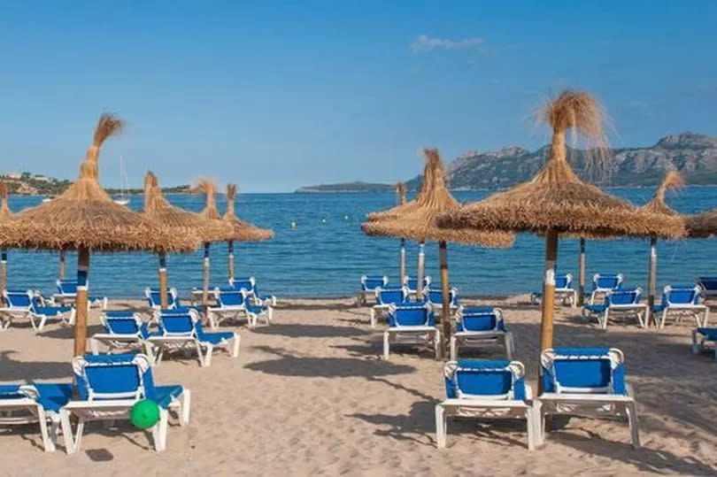 Pollensa beach with sunbeds & raffia parasols facing the Mediterranean sea in bright sunlight under a blue sky with a few white clouds in autumn, Poll