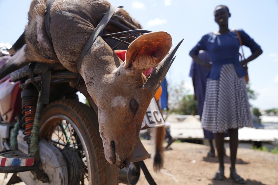 Una mujer junto a un antílope muerto en Bor, Sudán del Sur, el jueves 20 de junio de 2024. (AP Foto/Brian Inganga)