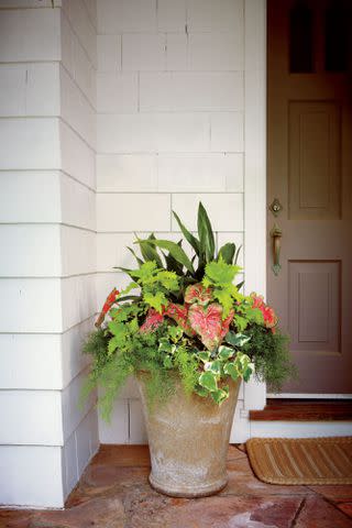 35 Front Door Container Garden Ideas For An Eye-Catching Entryway