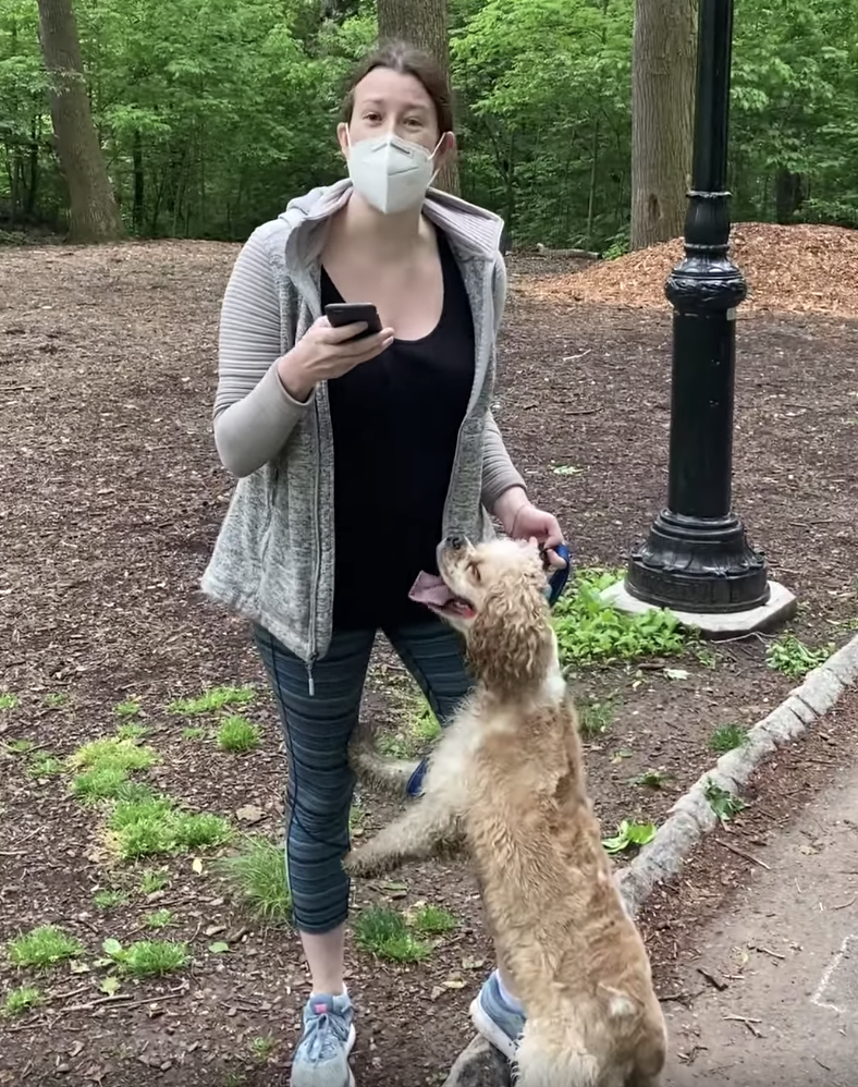 Amy Cooper on the phone to police as she falsely reported she was being threatened by an African-American man. She is also seen nearly choking her dog with its lead.