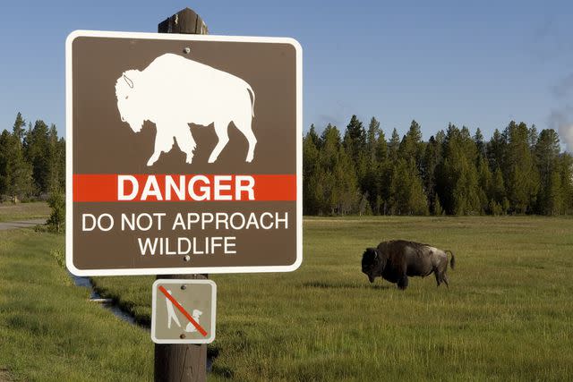 <p>Getty Images</p> Danger sign at Yellowstone National Park