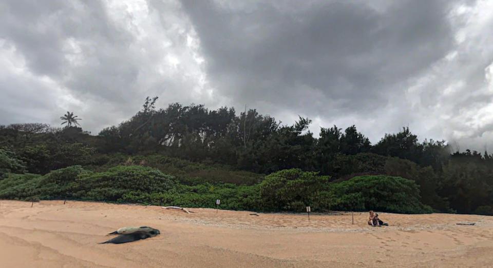 beach near Koolau Ranch