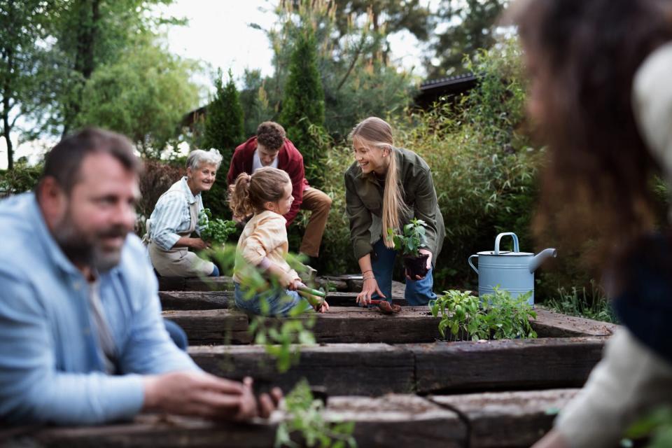 The Best Cities for Urban Gardening, According to a New Survey