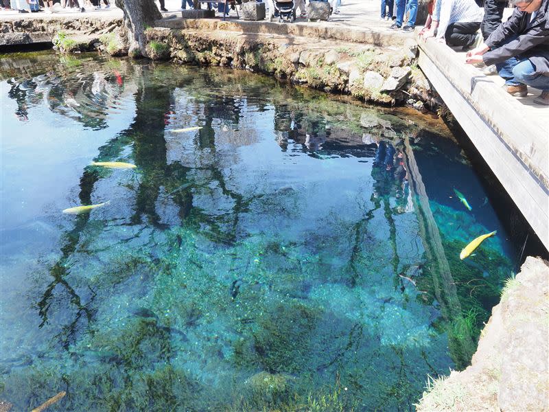 日本旅遊勝地「忍野八海」遭遊客丟擲硬幣成了許願池。（圖／翻攝自X@LO_yamanashi_VE）