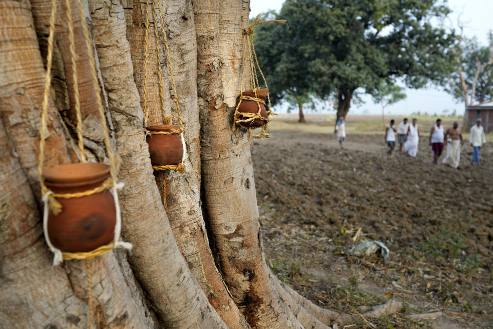 Ashes of three villagers who died due to heat related ailments are hung from a tree during their funeral in Ballia district, Uttar Pradesh state, India, Monday, June 19, 2023. Several people have died in two of India's most populous states in recent days amid a searing heat wave, as hospitals find themselves overwhelmed with patients. More than hundred people in the Uttar Pradesh state, and dozens in neighboring Bihar state have died due to heat-related illness. (AP Photo/Rajesh Kumar Singh)