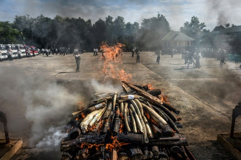 Wildlife parts worth more than a million dollars were destroyed at the Myanmar ceremony