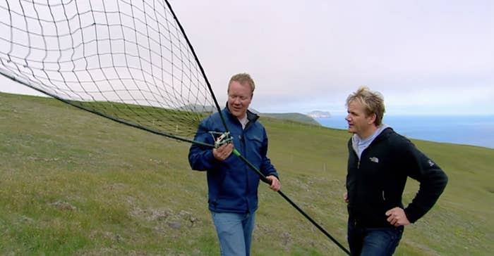 Ramsay being taught how to catch puffins with a giant net