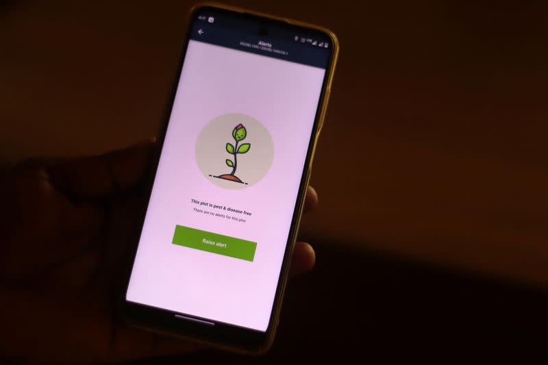 A field officer of Syngenta checks crop health of a geo-tagged farm on a phone application inside a processing unit in Krishna district