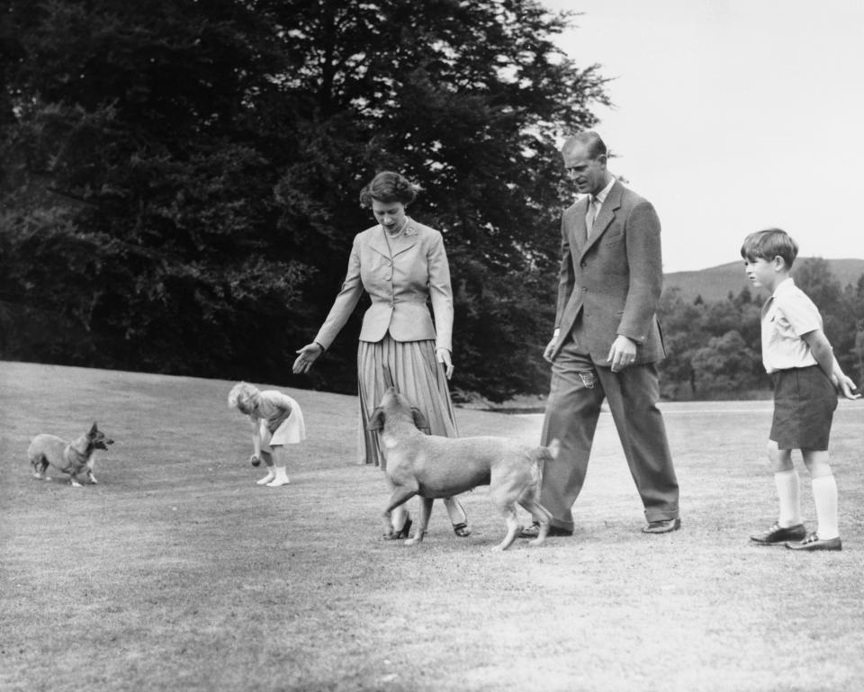 (Original Caption) Royal Family at Balmoral. Princess Anne tempts the queen's corgi, Sugar, with a ball, and the Duke of Edinburgh's dog, Candy, looks up at Queen Elizabeth, as with the duke and Prince Charles they walk in the grounds of Balmoral Castle during the royal family's summer holiday, August 1955. The castle, private property of the sovereign, at Deeside, West Aberdeenshire, Scotland, was bought by Prince Albert in 1852 for $31,000. The castle was rebuilt three years later. The castle was Queen Victoria's favorite residence and she often held court there. Since then the royal family have kept up the annual custom of staying at Balmoral during the shooting season. The sporting estate abounds with grouse and red deer.