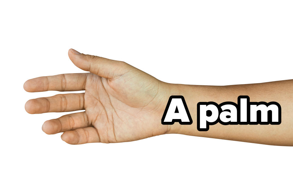 A person's hand reaching out with fingers slightly spread, against a plain white background