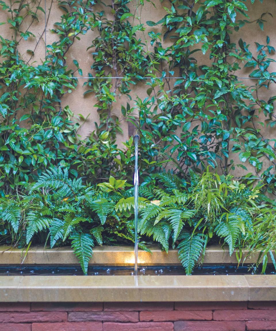 Water feature with fountain and planting