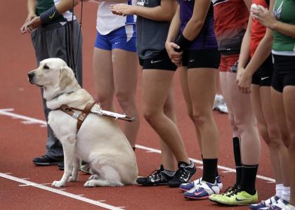 Charlotte Brown's service dog, Vador, joined her at the meet, including on the medal podium. (AP Photo/Eric Gay)