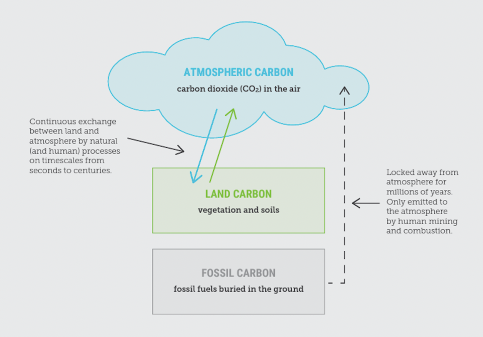 Carbon is continually exchanged between the land and the atmosphere on timescales of seconds, days, decades and centuries, whereas fossil carbon has been locked away from the atmosphere for millions of years. Climate Council, <a href="http://creativecommons.org/licenses/by/4.0/" rel="nofollow noopener" target="_blank" data-ylk="slk:CC BY;elm:context_link;itc:0;sec:content-canvas" class="link ">CC BY</a>