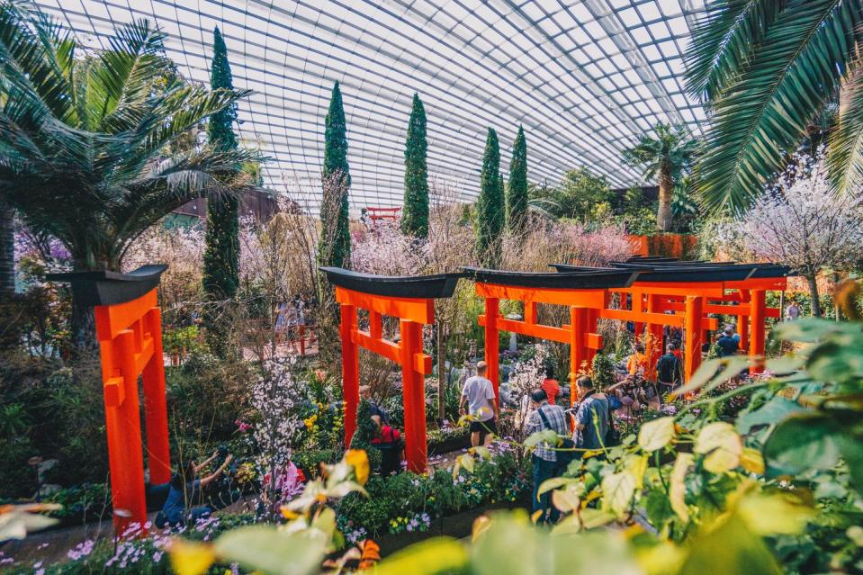 <p><em>March 9 to 31</em></p><p>Thanks to the popularity of their inaugural cherry blossom festival in 2018, Gardens by the Bay, Singapore's sprawling futuristic nature park, will once again host the Japanese-themed festival <a href="https://www.gardensbythebay.com.sg/en/whats-on/calendar-of-events/sakura-matsuri-2019.html" rel="nofollow noopener" target="_blank" data-ylk="slk:Sakura Matsuri;elm:context_link;itc:0;sec:content-canvas" class="link ">Sakura Matsuri</a>. The event is organized into four components: cherry blossom floral display, cultural programs, Nippon Street (come here for great Japanese street food), and Anime Garden (don't miss the celebrity cosplayers photo opps). <br></p>