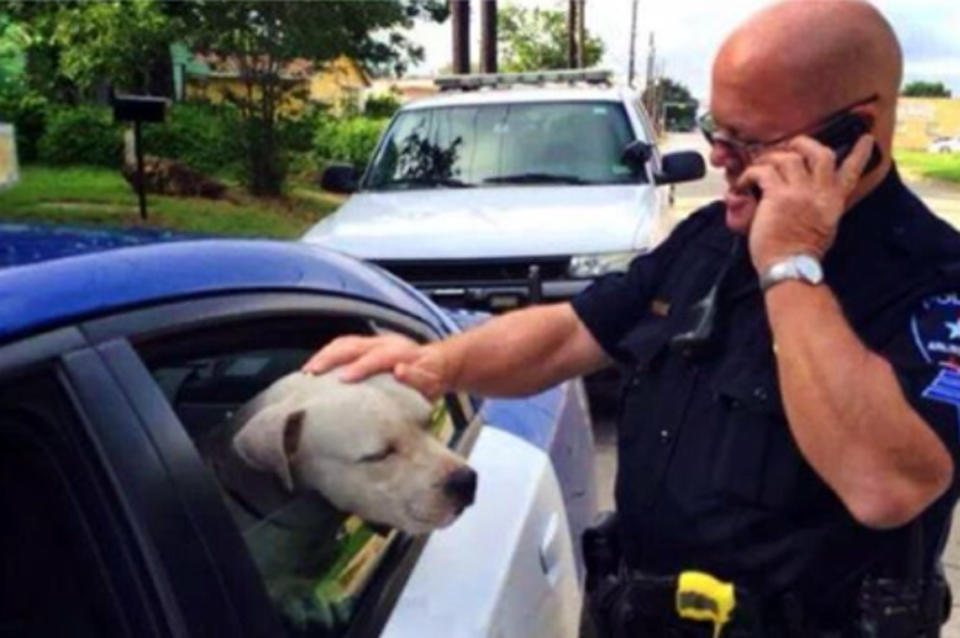 This undated image made from video provided by the Arlington Police Department shows Sgt. Gary Carter with the pit bull he rescued. On June 27, 2014, Carter was summoned to the scene of a dog chasing residents but he and another officer took time to observe the dogâs behavior and determined that it was just thirsty, lost and afraid. On Thursday, July 10, 2014, with time running out for the dog before euthanasia, Carter rescued âJeffreyâ and adopted him. (AP Photo/Arlington Police Department)