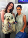 Celebrity photos: Ashleigh and Pudsey were the final winners of Britain’s Got Talent over the weekend – and this week they’ve been doing some serious celeb spotting. Here, the pair pose with Kim Kardashian.