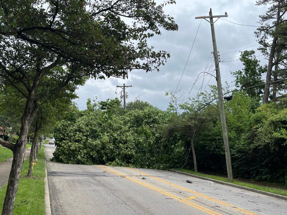 A tree fell blocking Montana Avenue between Cheviot and Boudinot avenues during Sunday's storms, pulling down wires.