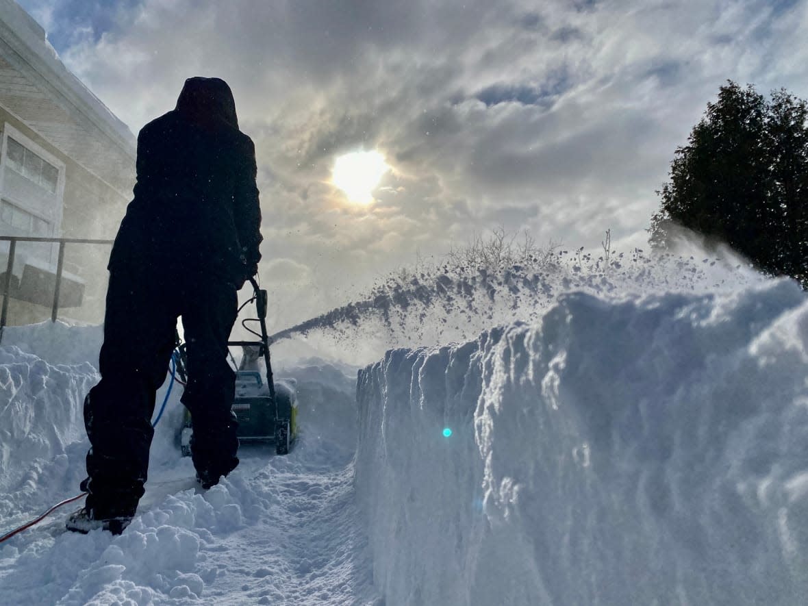 It took Islanders days to clean up from both January storms.  (Jane Robertson/CBC - image credit)