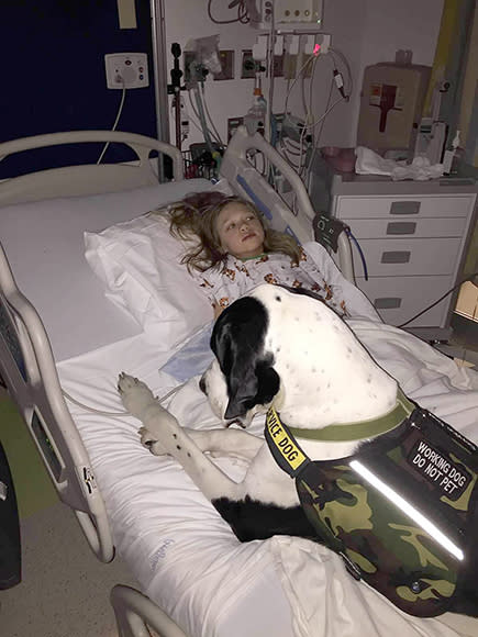 Little Girl with Rare Disease and Her Service Dog Have a Special Friendship: 'I Pretty Much Love Everything About Him'| Health, Good Deeds, Real People Stories, The Daily Smile
