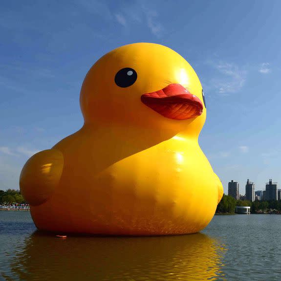 big duck promotional float