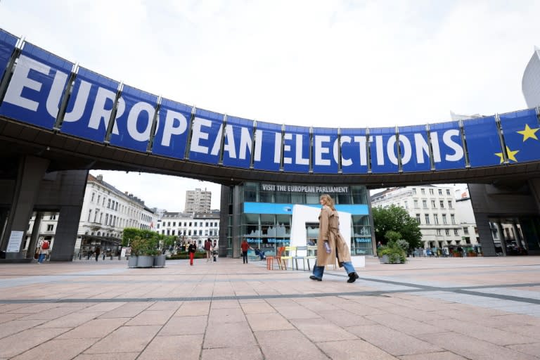 The Czech Republic and neighbouring Slovakia recorded the EU's lowest turnout for the 2019 election, with 29 percent and 23 percent, respectively (Kenzo TRIBOUILLARD)