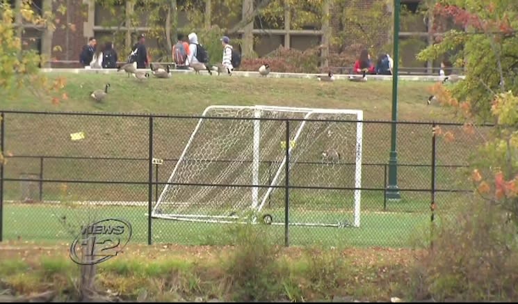 New Rochelle High was the host for a violent attack during a soccer game — News 12 screenshot