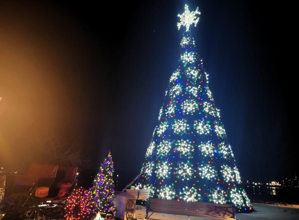 A 40-foot Christmas tree, which used to be lit downtown annually, is shown on display at Pine Grove Park on Wednesday, Nov. 29, 2023.