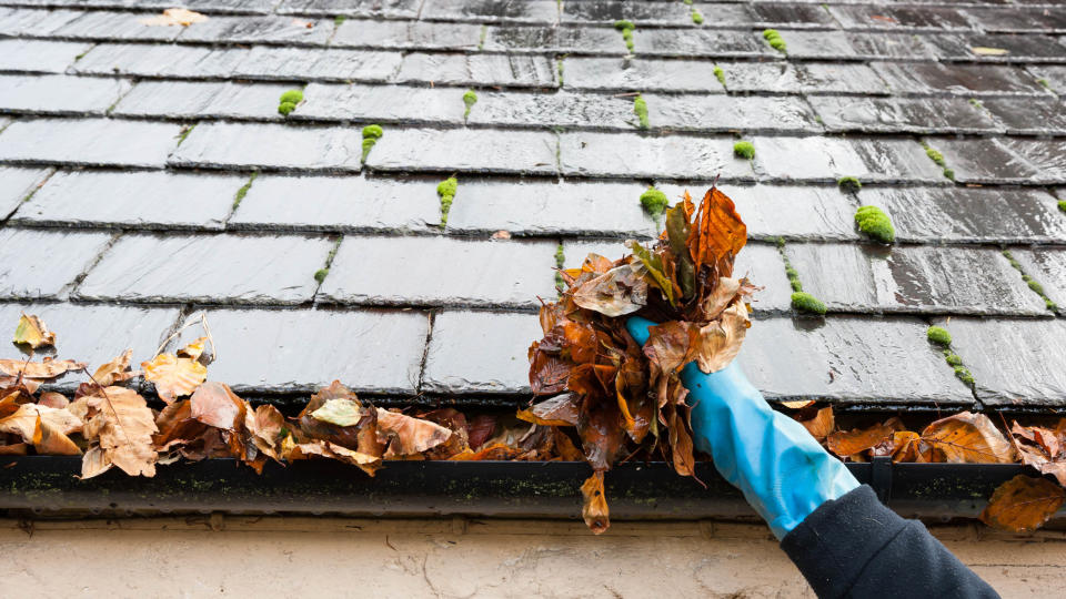 Someone unblocking leaves from a gutter while wearing gloves