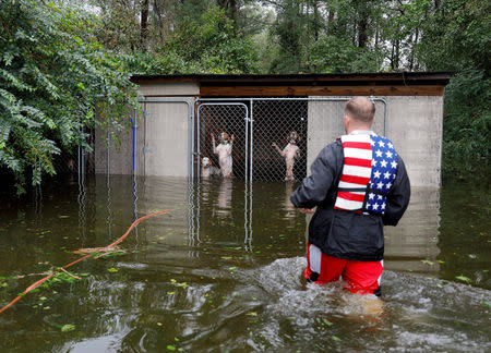 FILE PHOTO: Panicked dogs that were left caged by an owner who fled rising floodwater in the aftermath of Hurricane Florence, are rescued by volunteer rescuer Ryan Nichols of Longview, Texas, in Leland, North Carolina, U.S., September 16, 2018. REUTERS/Jonathan Drake/File Photo