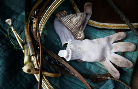 A hunting horn and a whip with gloves are seen after a roe dear-hunt with hounds in the Chantilly royal estate forest, north of Paris, France, October 12, 2016. Picture taken October 12, 2016. REUTERS/Jacky Naegelen