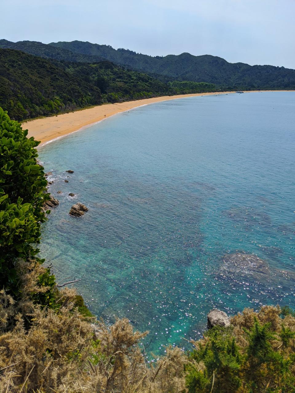 Totaranui on New Zealand’s South Island (Laura Hampson)