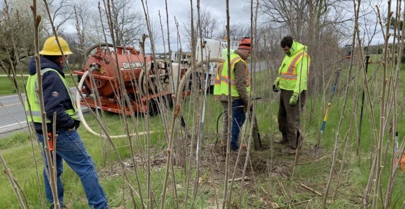 El equipo de Mauch trabajando en terreno