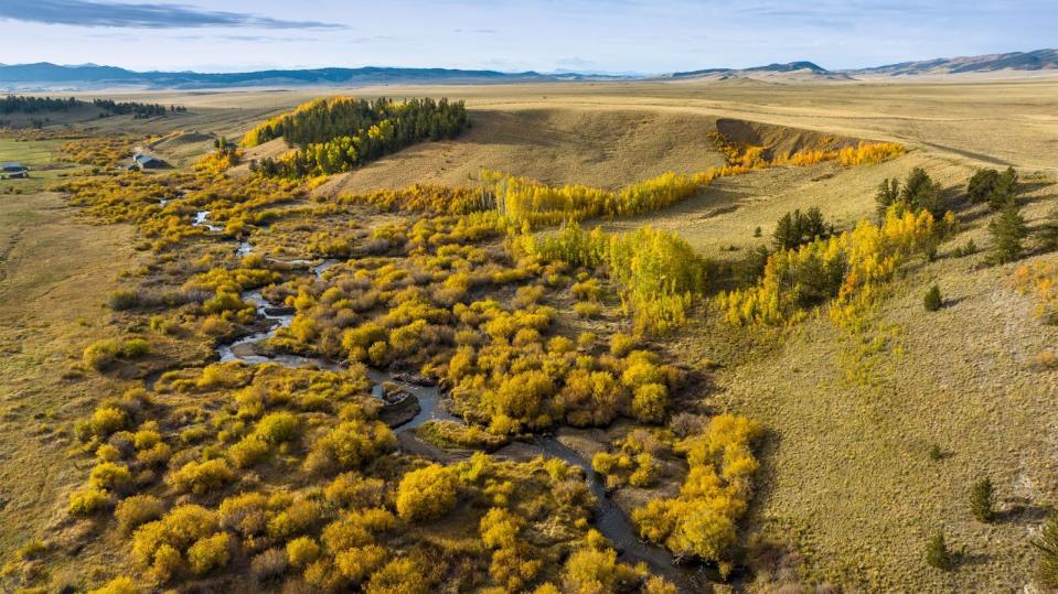 A new State Wildlife Area is coming soon near Tarryall Creek in South Park, Colorado.