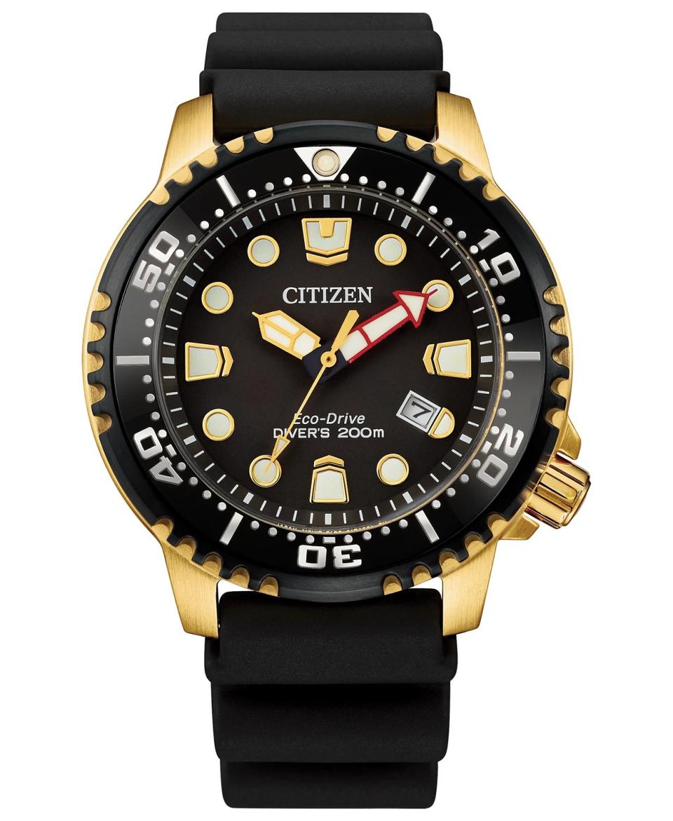 Citizen-Eco-Drive-Professional-Diver-Watch