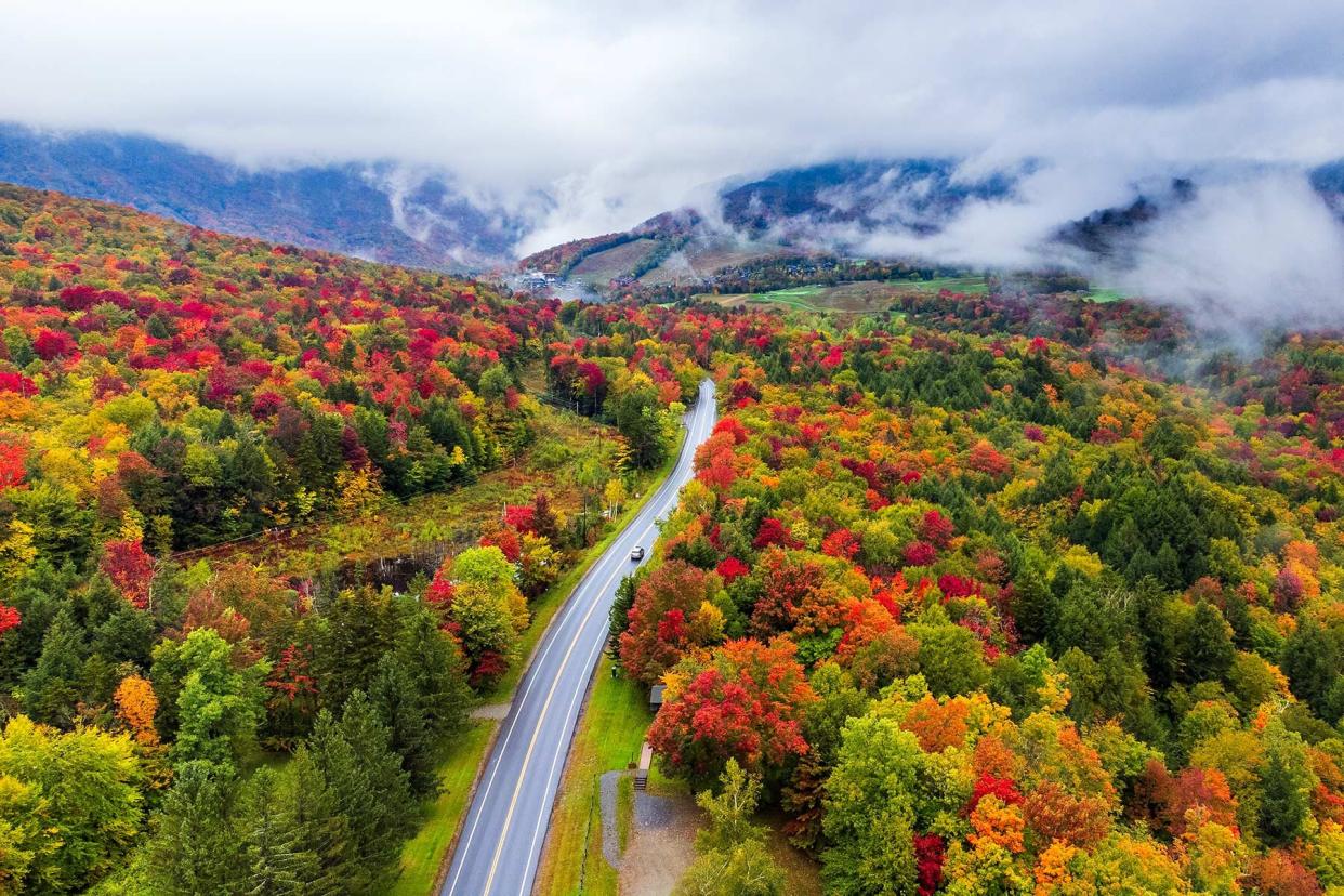 Aerial view of road amidst trees during autumn, in Vermont