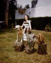 <p>Elizabeth had many pets, but here she's seen posing with three of her dogs, Twinkle, Monty, and Spot. </p>