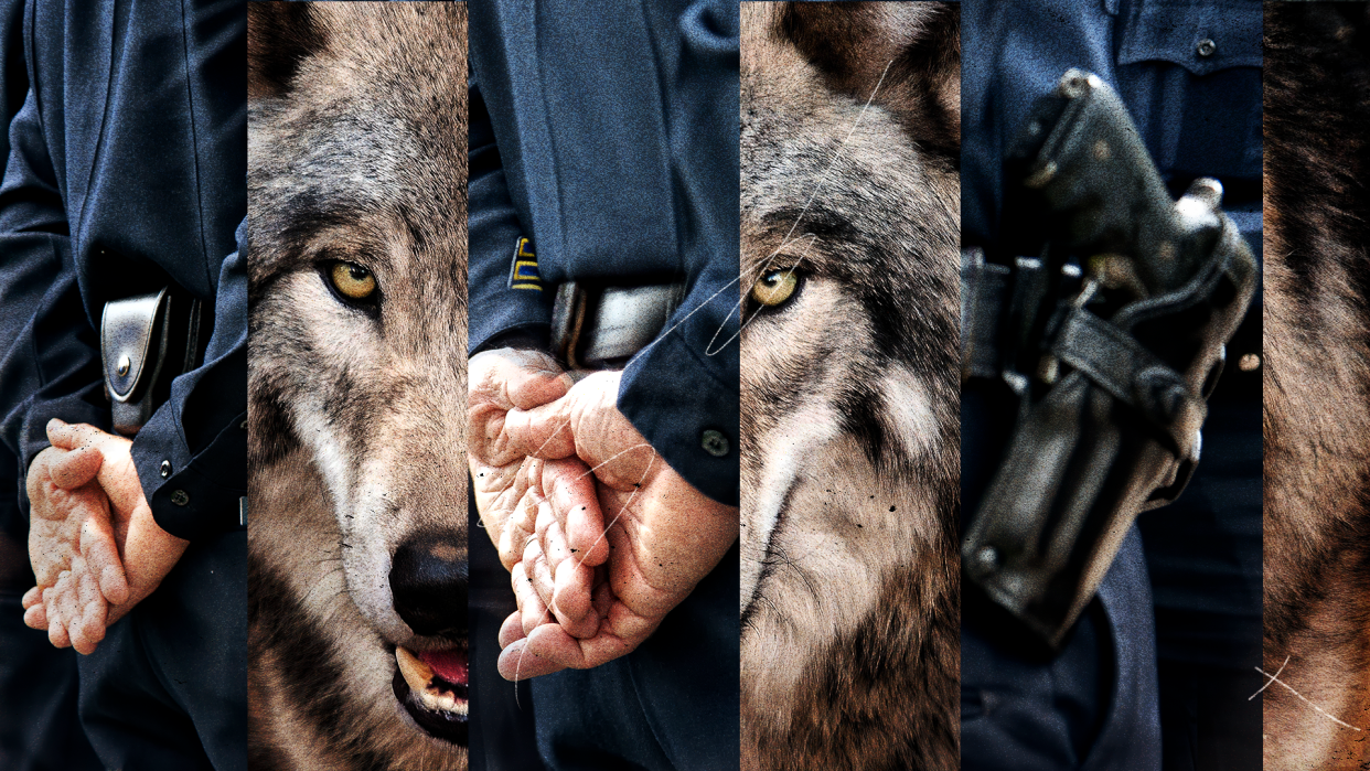 Images of a police officer intercut with images of a police dog.