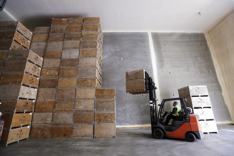 In this photo taken Tuesday, Oct. 15, 2019, a worker moves bins of Cosmic Crisp apples, a new variety and the first-ever bred in Washington state, to be stacked 12-high into a cold storage facility in Yakima, Wash. The Cosmic Crisp, available beginning Dec. 1, is expected to be a game changer in the apple industry. Already, growers have planted 12 million Cosmic Crisp apple trees, a sign of confidence in the new variety. (AP Photo/Elaine Thompson)