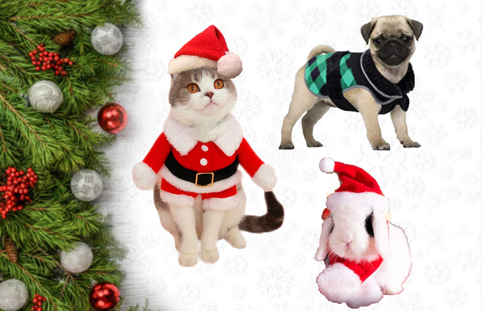 Festive fun for you and your pets! (Photo: Amazon)