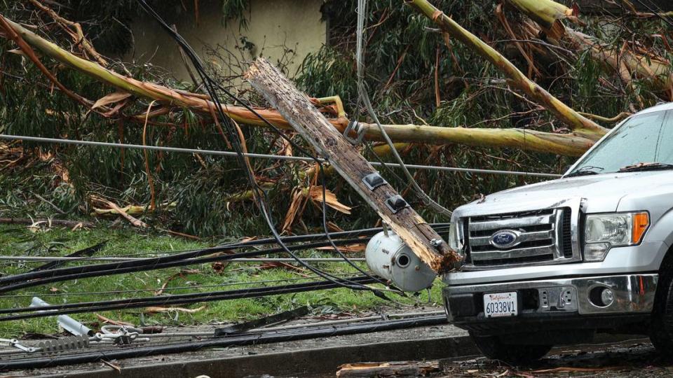 The Pike was closed from South Elm to Halycon Road in Arroyo Grande as of 11:30 a.m. due to downed eucalyptus trees. Residents in the area were told to shelter in place as power lines were blocking homes.