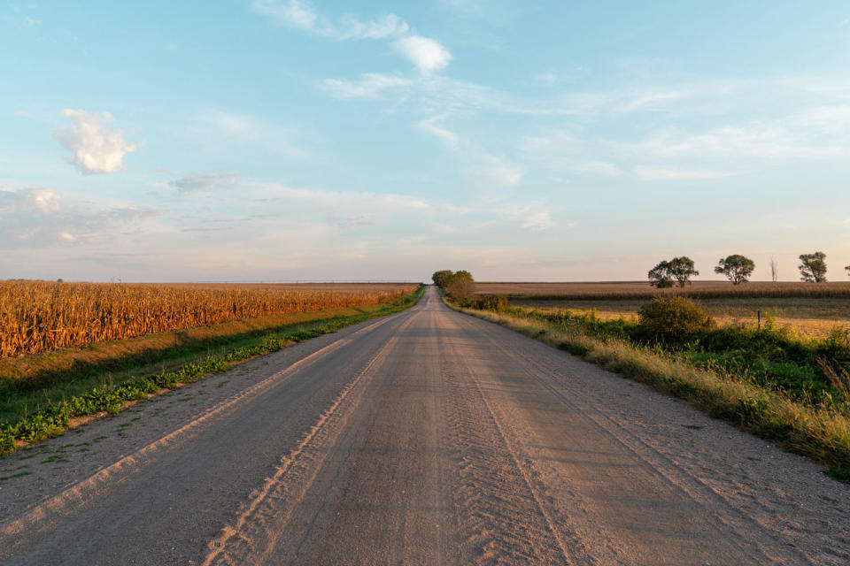 A country road in southeastern Nebraska. (Madeline Cass for NBC News)