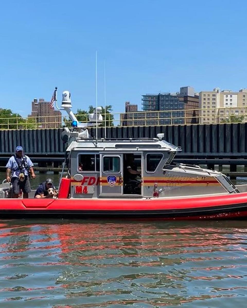 FDNY Dog Rescue