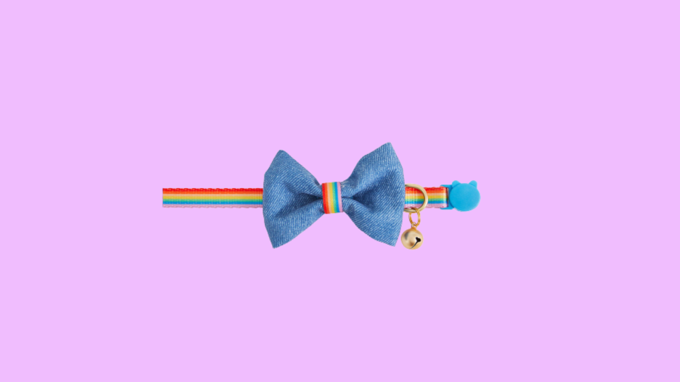 Pride-themed pet products for the proud pet parent