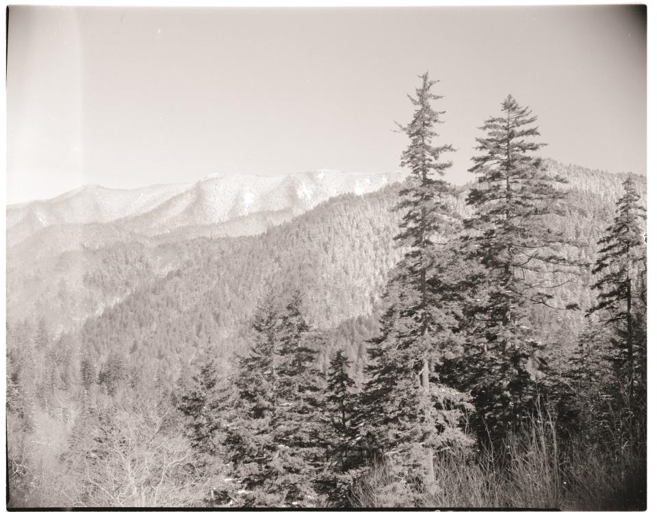 An image captured in the Smokies by Henry Lix during his tenure as a naturalist in the park.