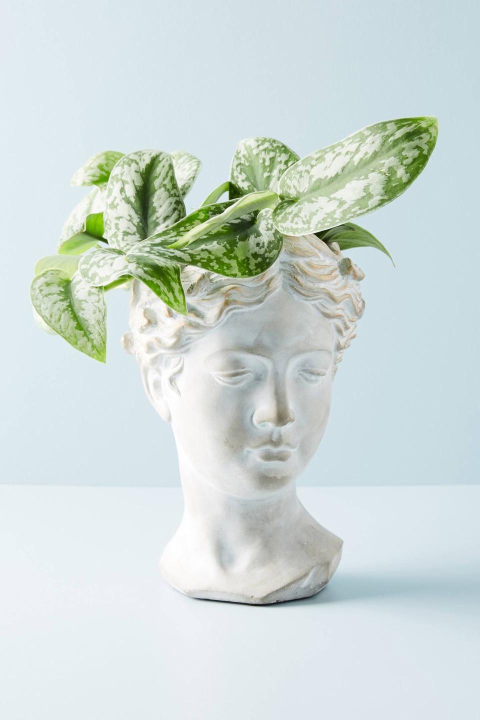 59) Grecian Bust Pot