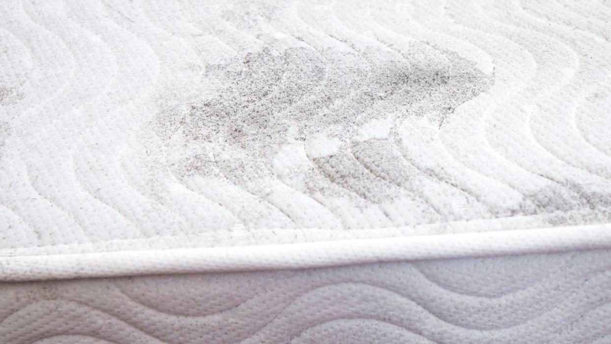  A close up image of a mattress displaying a smattering of black dots, which is a sign that mold is present. 