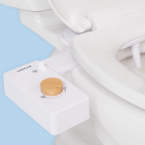 Tushy Classic 3.0 Bidet Toilet Seat Attachment (Amazon / Amazon)